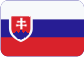 2VV s.r.o. Slovensky
